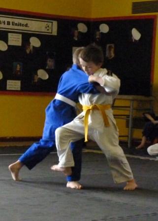 SHO CUP 2011