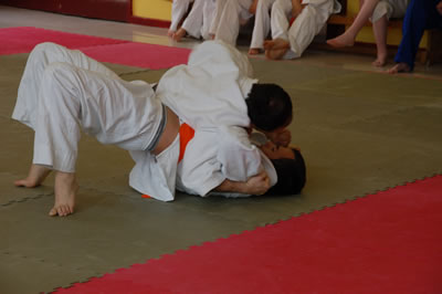 Shodan Team competition 2008: Image