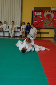 Shodan Team competition 2008: Image