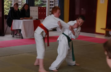 Shodan Team competition 2008: Image